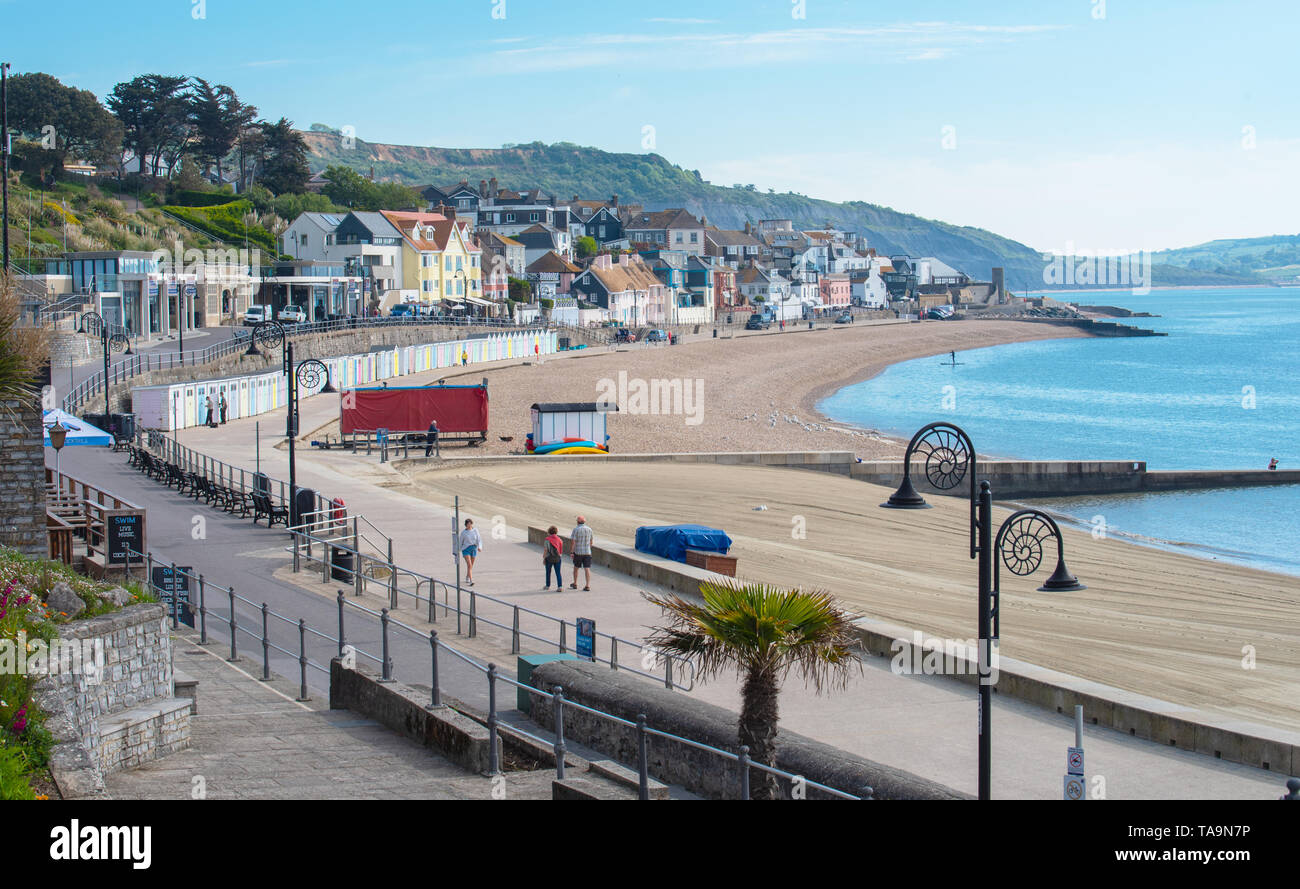 Lyme Regis, Dorset, Regno Unito. Il 23 maggio 2019. Regno Unito: Meteo una gloriosa mattina presso la pittoresca spiaggia della località balneare di Lyme Regis. Il popolare resort è calmo e tranquillo oggi in vista delle prossime vacanze di maggio. Folle di visitatori sono attesi al gregge per la famosa spiaggia di La prossima settimana a crogiolarvi nel mite clima che è stato meteo di tutta la costa sud dell'Inghilterra. Credito: Celia McMahon/Alamy Live News. Foto Stock