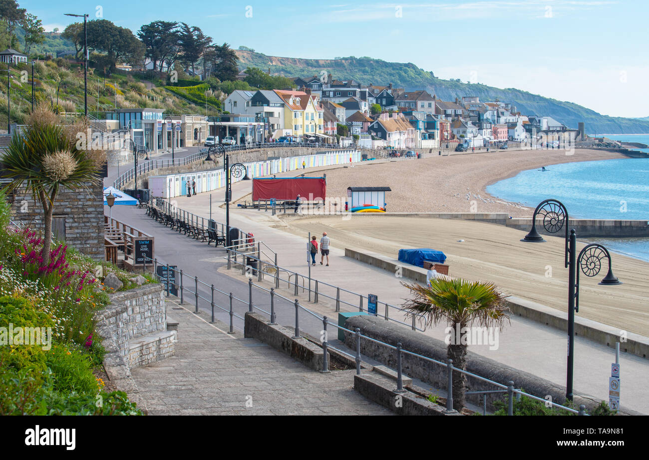 Lyme Regis, Dorset, Regno Unito. Il 23 maggio 2019. Regno Unito: Meteo una gloriosa mattina presso la pittoresca spiaggia della località balneare di Lyme Regis. Il popolare resort è calmo e tranquillo oggi in vista delle prossime vacanze di maggio. Folle di visitatori sono attesi al gregge per la famosa spiaggia di La prossima settimana a crogiolarvi nel mite clima che è stato meteo di tutta la costa sud dell'Inghilterra. Credito: Celia McMahon/Alamy Live News. Foto Stock