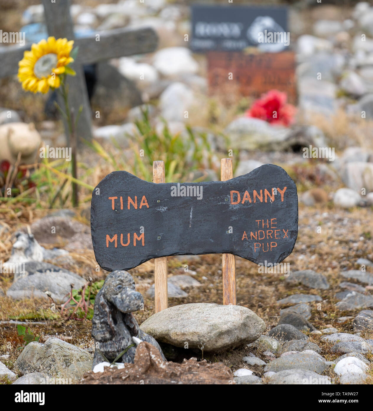 Cullen il cimitero di Pet, Cullen Beach, murene, UK. 23 Maggio, 2019. Regno Unito. Questo è il Cimitero di Pet a Cullen che è stato colpito con il governo britannico quango, la salute animale e vegetale agenzia (APHA), Bill per l esecuzione di un "rifiuti di origine animale business smaltimento". Credito: JASPERIMAGE/Alamy Live News Foto Stock