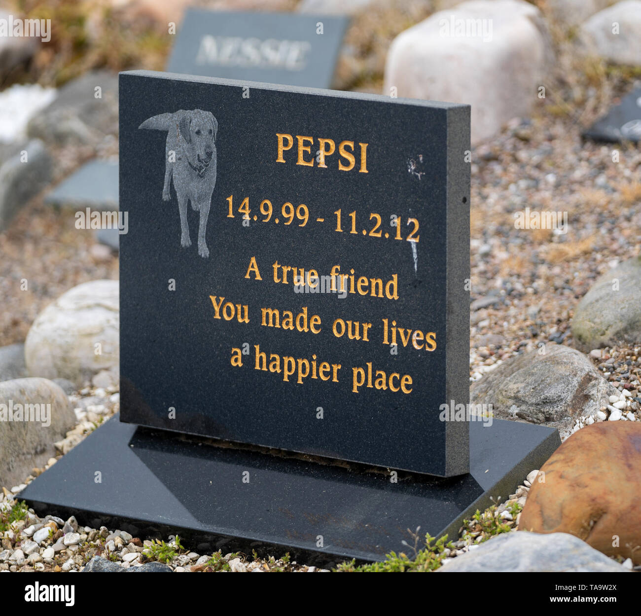 Cullen il cimitero di Pet, Cullen Beach, murene, UK. 23 Maggio, 2019. Regno Unito. Questo è il Cimitero di Pet a Cullen che è stato colpito con il governo britannico quango, la salute animale e vegetale agenzia (APHA), Bill per l esecuzione di un "rifiuti di origine animale business smaltimento". Credito: JASPERIMAGE/Alamy Live News Foto Stock