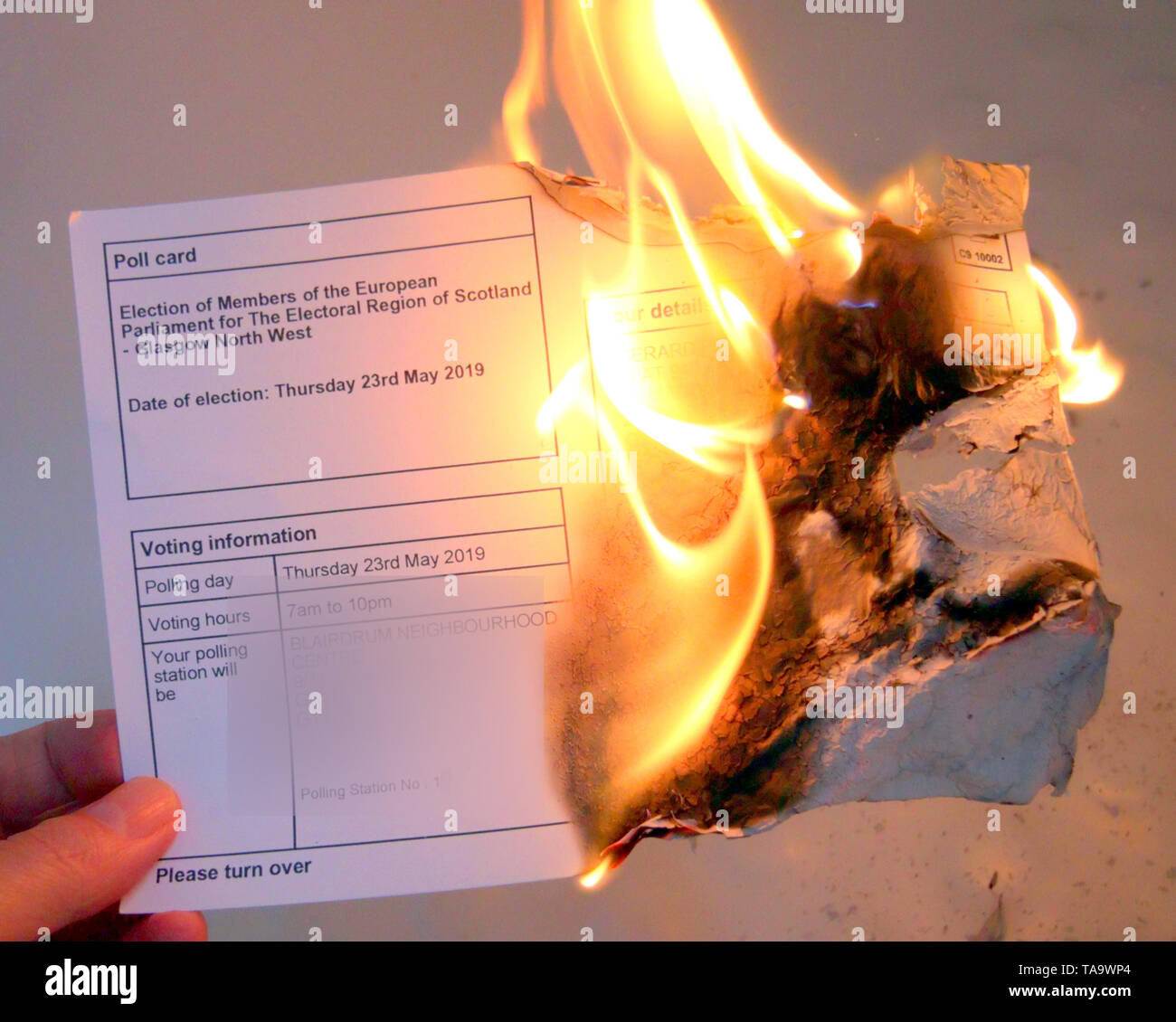 Glasgow, Scotland, Regno Unito 23 maggio, 2019. Brexit elezioni europee t protesta come rifiuto di votare come un elettore infuriate semplicemente bruciato la sua carta. Gerard Ferry/Alamy Live News Foto Stock