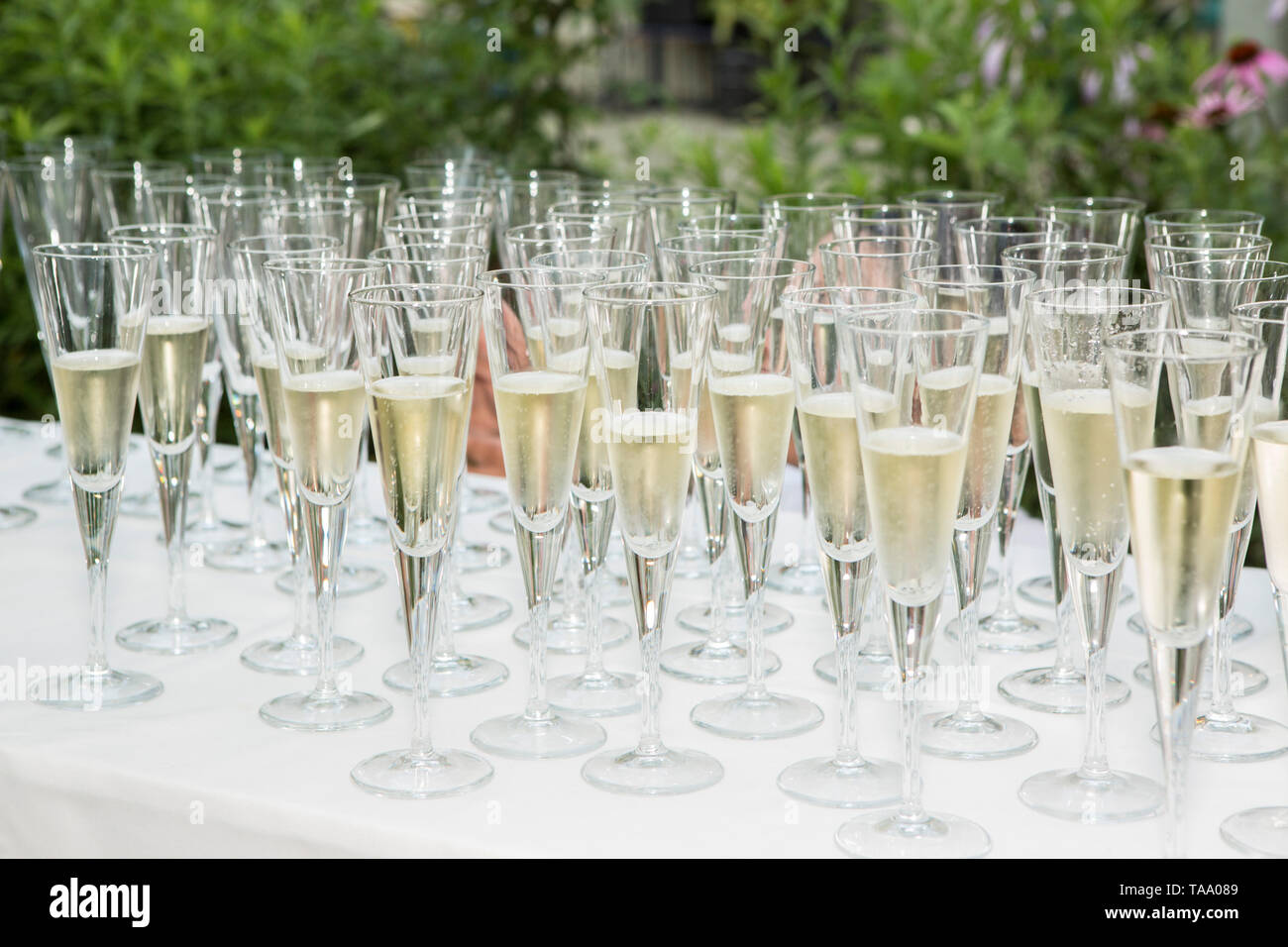 Bicchieri riempiti con lo champagne sul tavolo bianco all'aperto Foto Stock