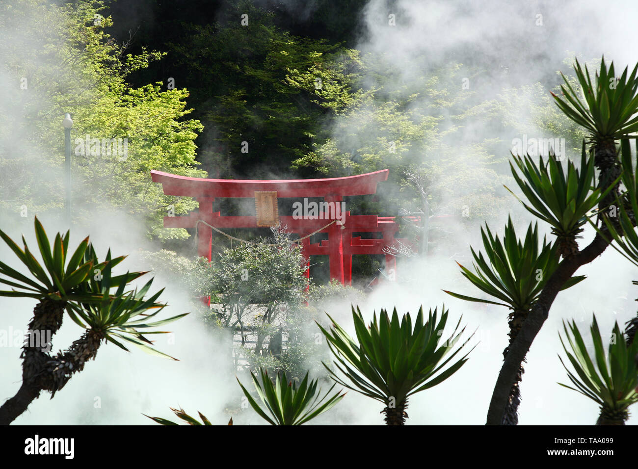 Torii giapponesi accanto a piscine vulcaniche a Jigoku Meguri giardini in Beppu Giappone Foto Stock