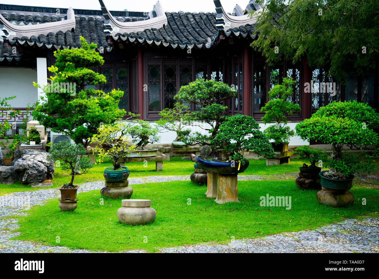 Bonsai garden chinese garden singapore immagini e fotografie stock ad alta  risoluzione - Alamy