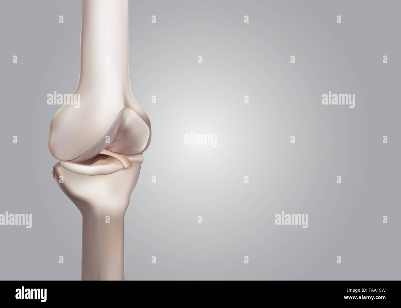 3D rendering, illustrazioni di umana e medica la scienza del ginocchio Foto Stock