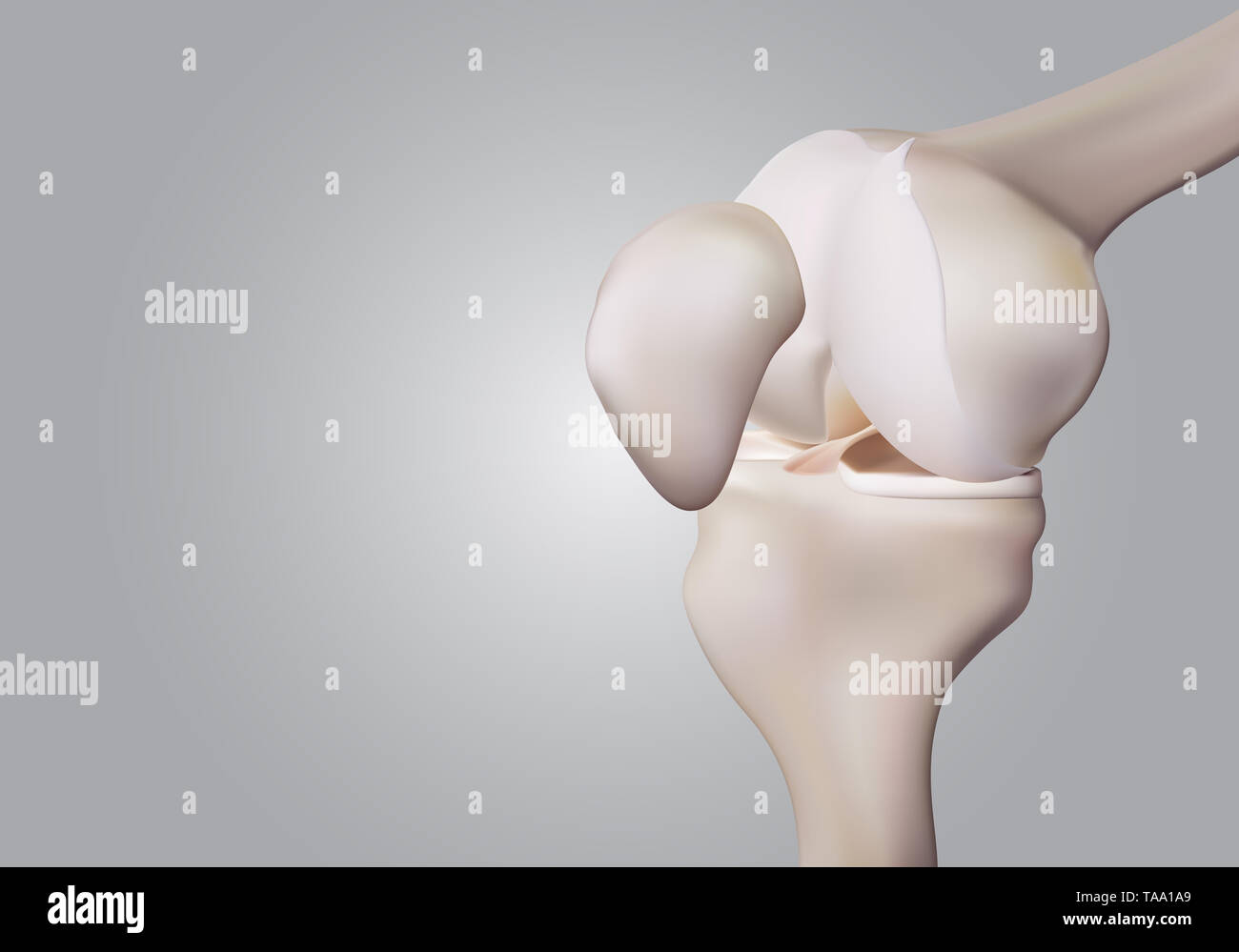 3D rendering, illustrazioni di umana e medica la scienza del ginocchio Foto Stock