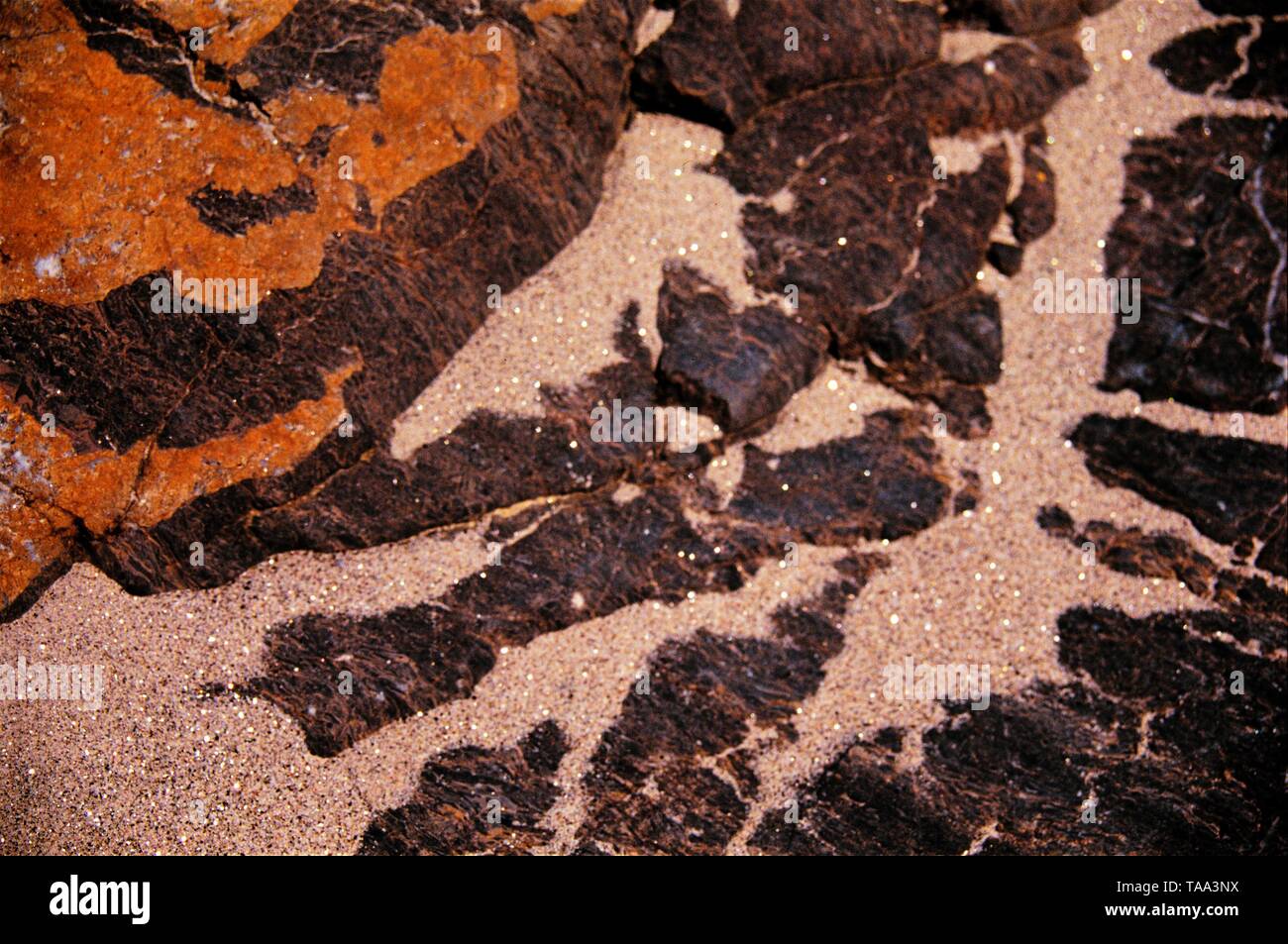 Sabbia intrappolato sulla roccia della depressione, Rishikesh, Uttarakhand, India, Asia Foto Stock