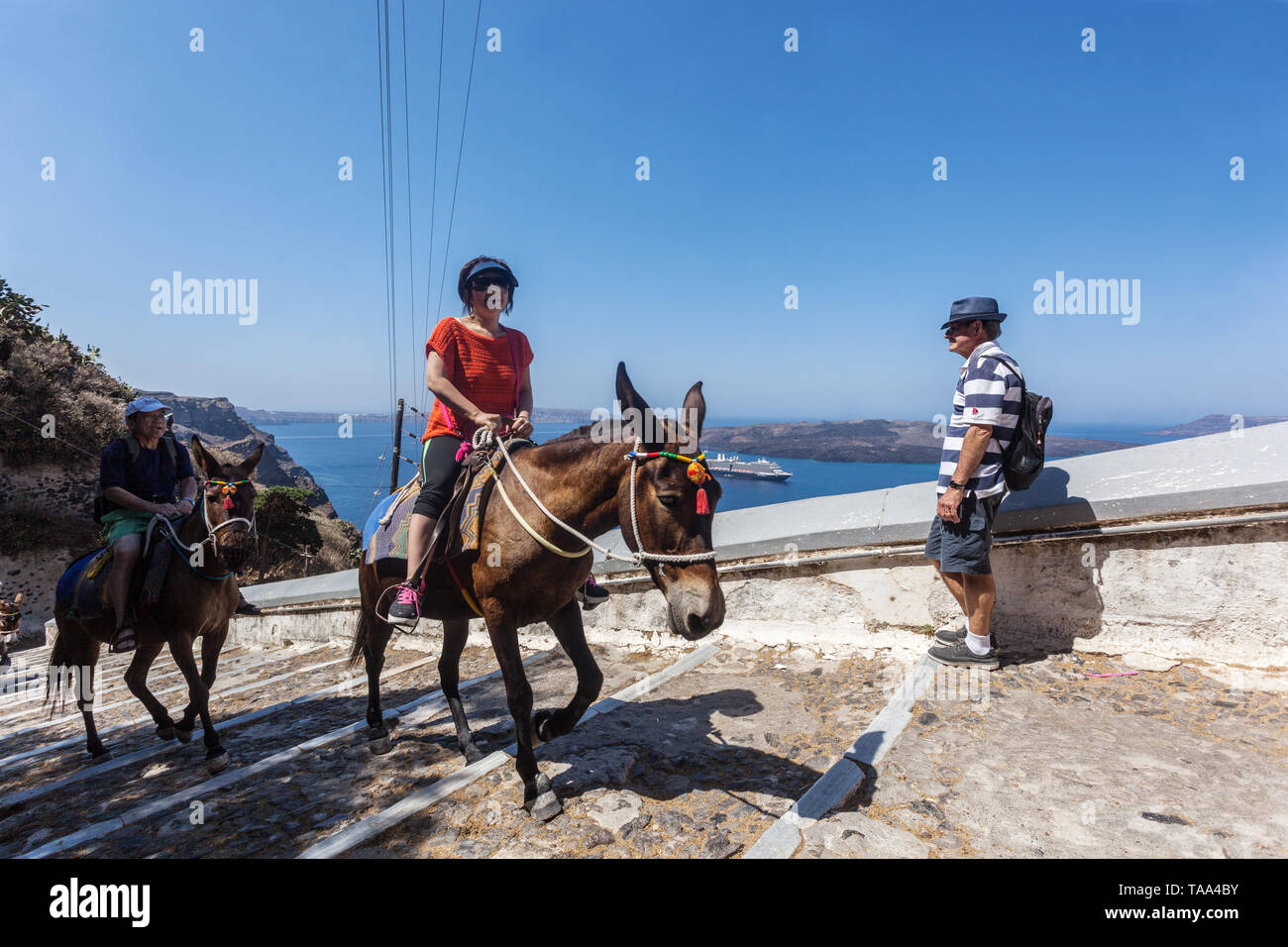 Santorini Grecia Turismo, persone turisti sul percorso di asino, Europa Foto Stock
