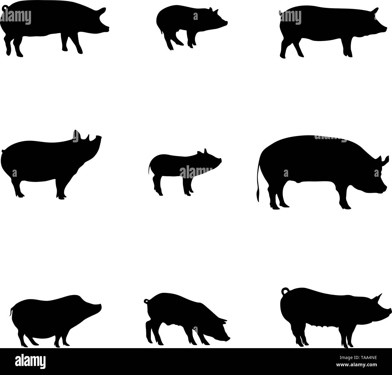 Sagome di suini. Felice Anno Nuovo. Negozio di carne. Vettore Illustrazione Vettoriale