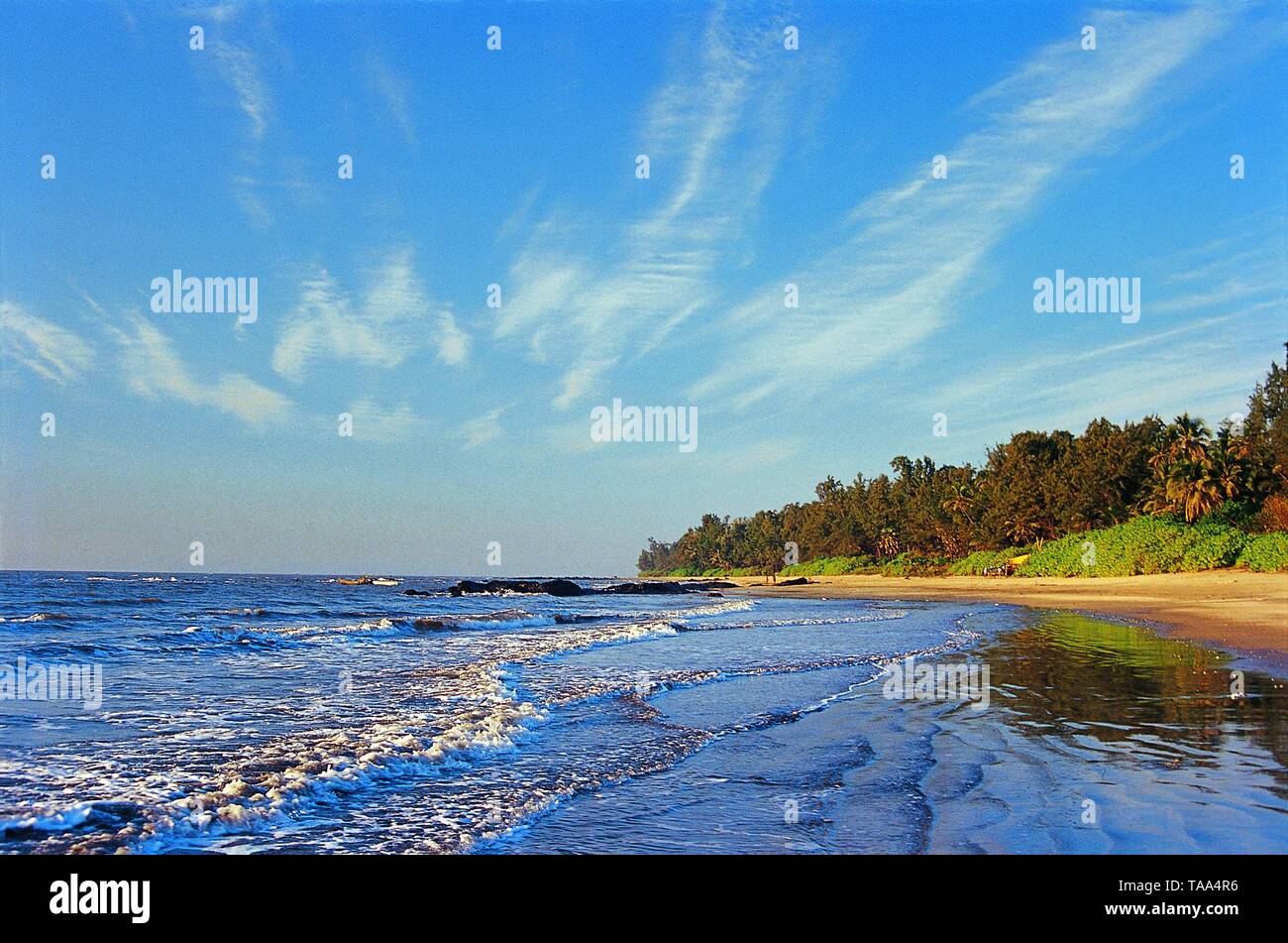 Altostratus nubi incombenti sulla spiaggia Kihim, Maharashtra, India, Asia Foto Stock