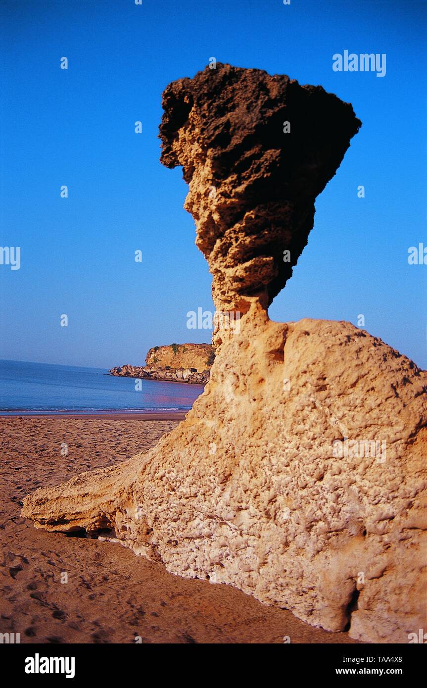 Dinosauro come pila di mare sulla riva del mare, Saurashtra, Gujarat, India, Asia Foto Stock