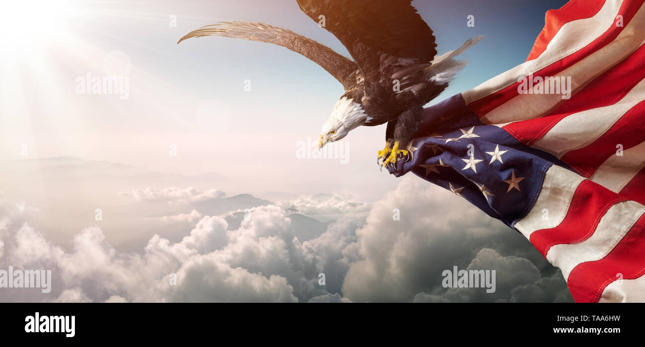 Aquila con bandiera americana vola in libertà Foto Stock