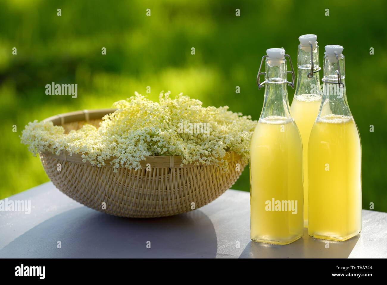 Aggiornamento primavera lâ Elderflower cordial in giardino Foto Stock