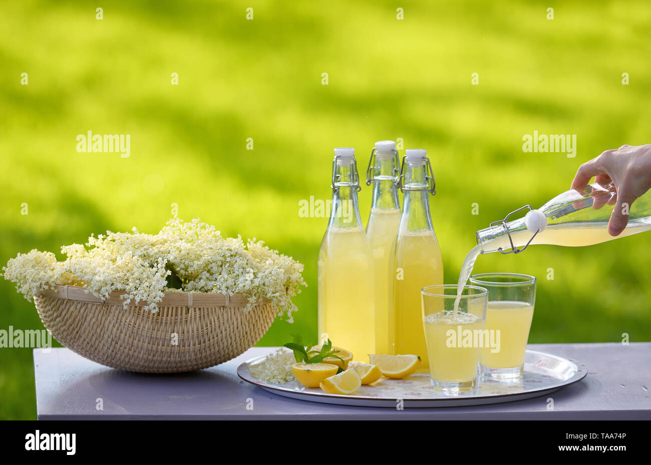 Aggiornamento primavera lâ Elderflower cordial in giardino Foto Stock