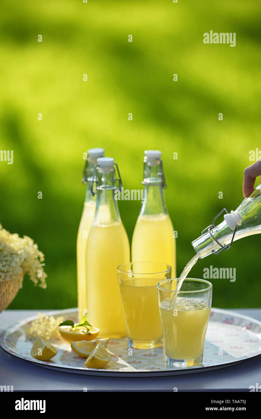 Aggiornamento primavera lâ Elderflower cordial in giardino Foto Stock