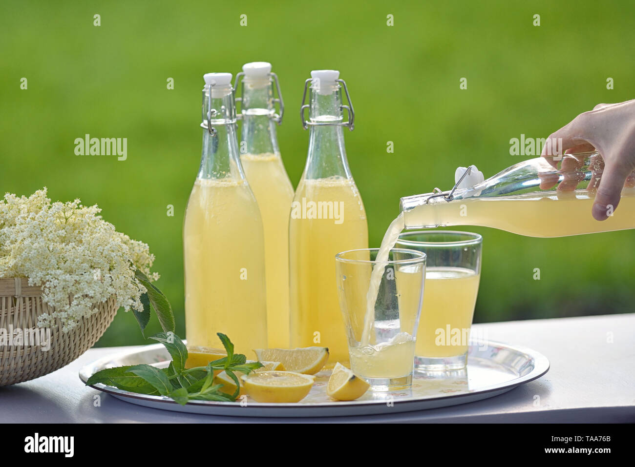 Aggiornamento primavera lâ Elderflower cordial in giardino Foto Stock