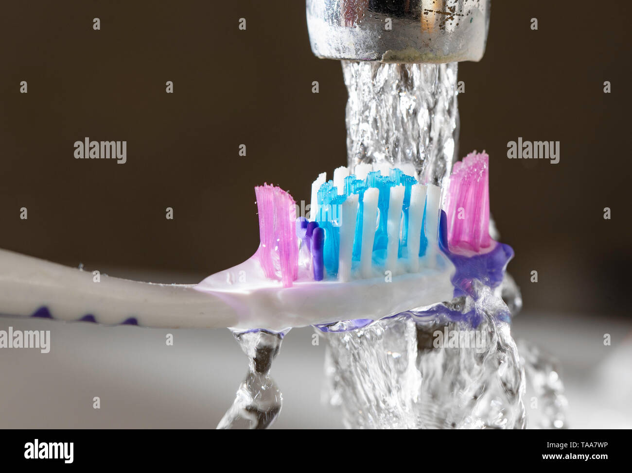 Esecuzione di acqua su uno spazzolino da denti in lavandino del bagno Foto  stock - Alamy