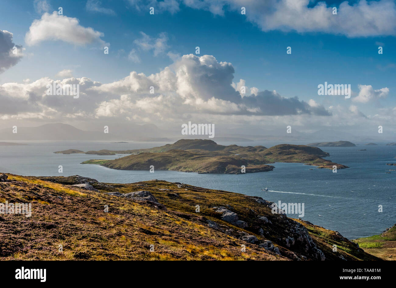 Tanera Mor, la più grande delle isole di estate Foto Stock