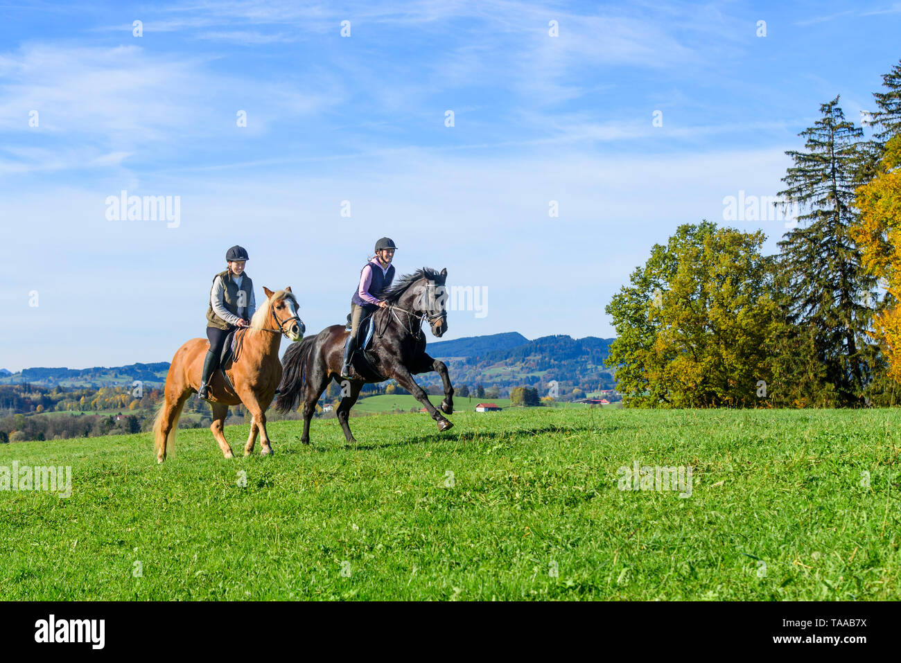 Due donne sportivo in sella ai loro cavalli sul prato in Algovia bavarese Foto Stock