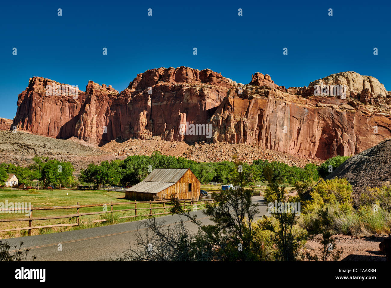 Agriturismo a fruita, Capitol Reef National Park nello Utah, USA, America del Nord Foto Stock