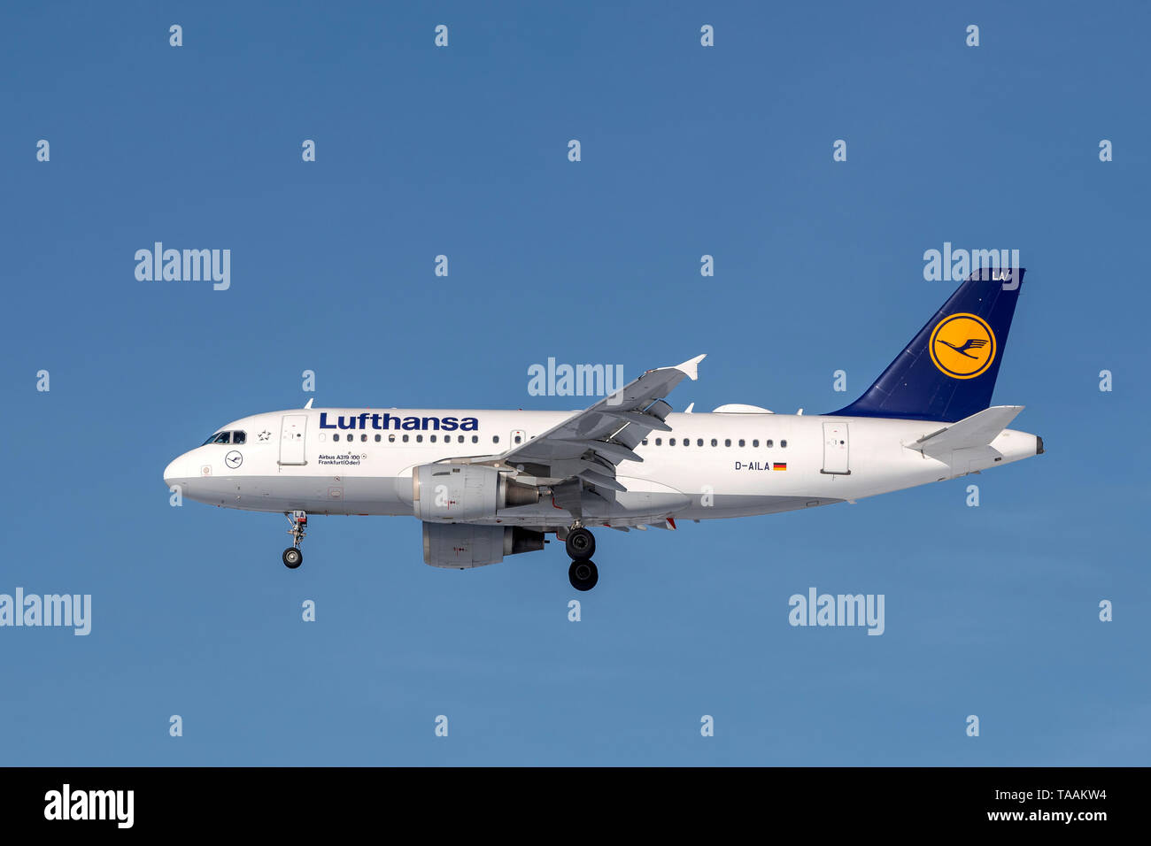 Monaco di Baviera, Germania - 08. Febbraio 2019 : Lufthansa Airbus A319-114 con la registrazione degli aeromobili D-AILA nell'approccio alla pista del nord del MU Foto Stock