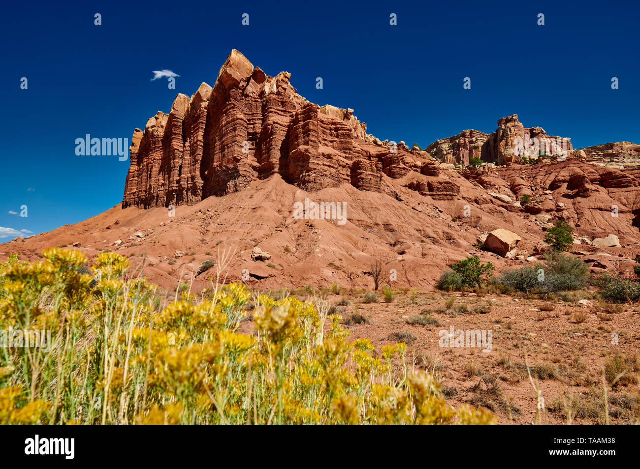 Parco nazionale di Capitol Reef, Utah, Stati Uniti d'America, America del Nord Foto Stock