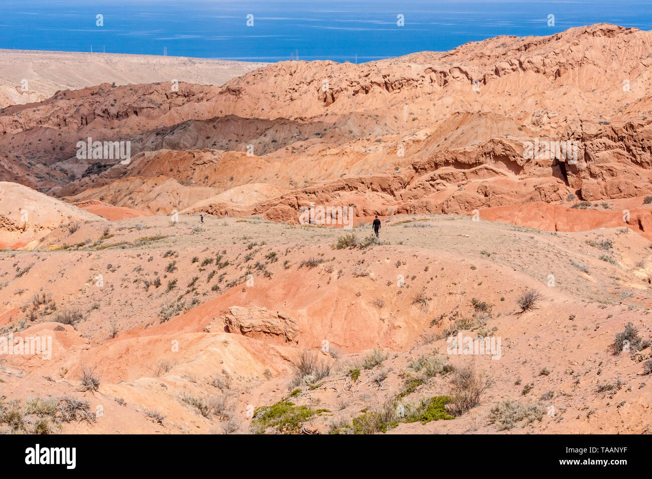 Formazioni geologiche a Skazka Canyon, Kirghizistan, in Asia centrale Foto Stock