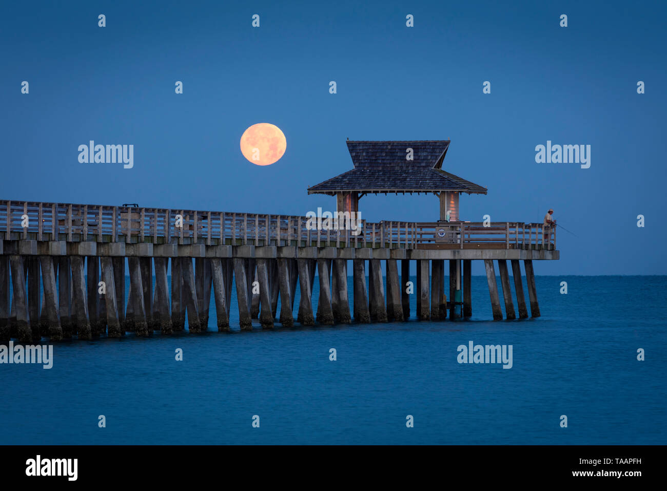 Impostazione luna piena e la mattina presto twilight oltre il Molo di Napoli, Naples, Florida, Stati Uniti d'America Foto Stock