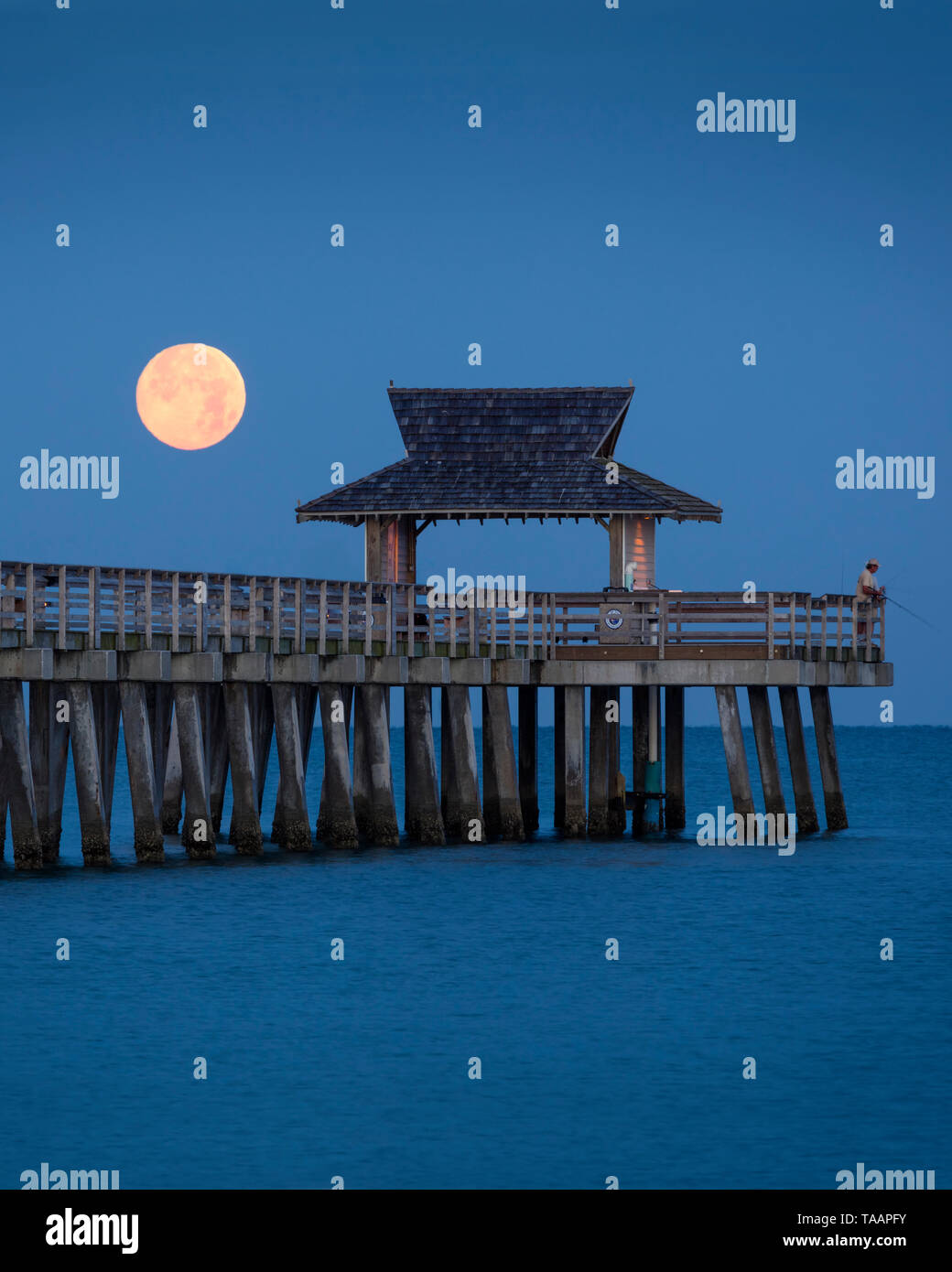 Impostazione luna piena e la mattina presto twilight oltre il Molo di Napoli, Naples, Florida, Stati Uniti d'America Foto Stock