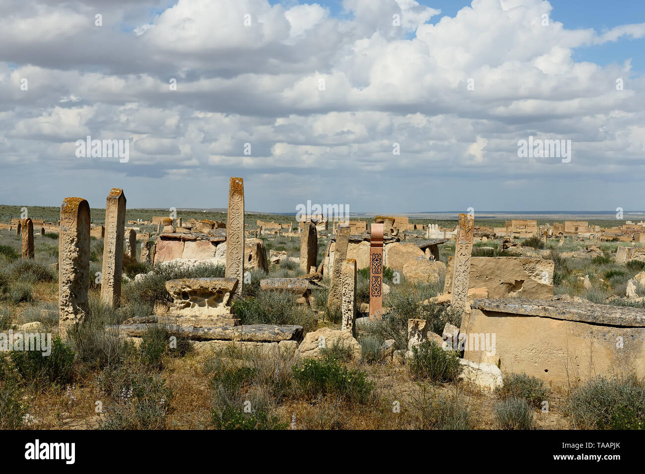 Vecchia lastra tombale sulla necropoli in Shopan Ata, Mangistau provincia, Kazakistan. Foto Stock