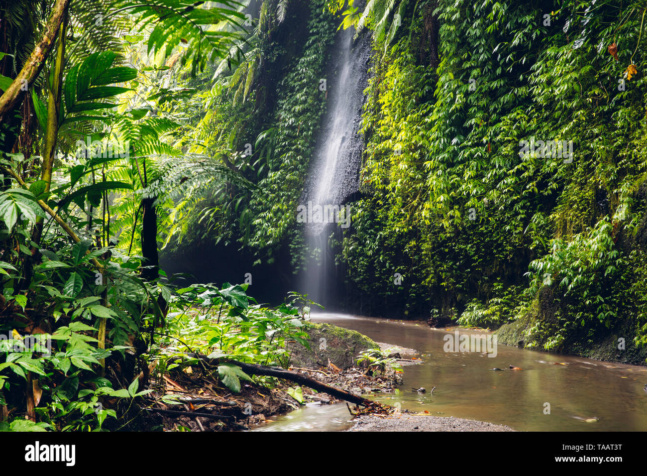 Vista in Tukad Cepung cascata a Bali, Indonesia Foto Stock