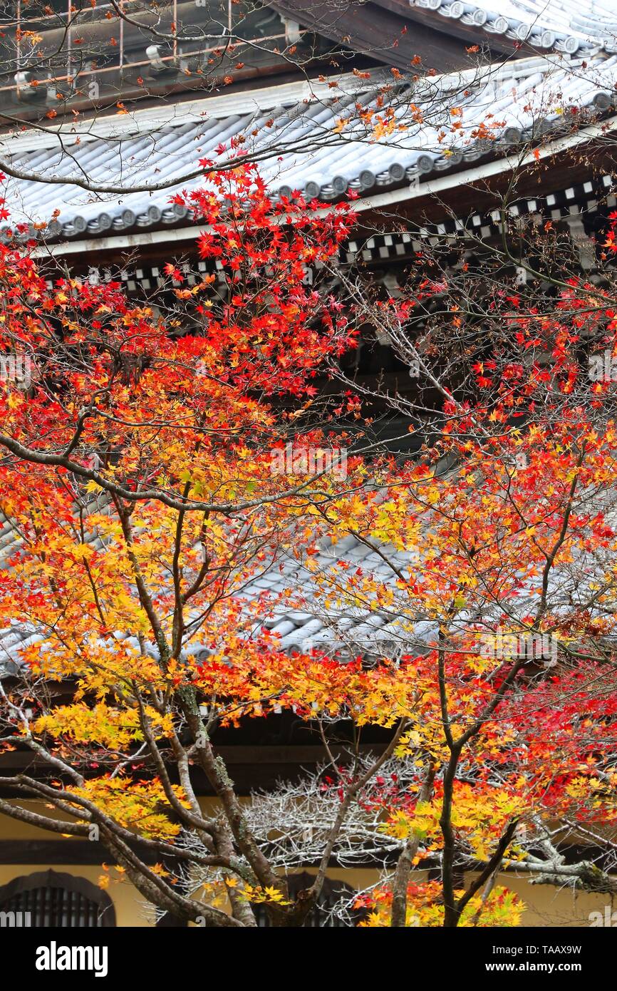 Kyoto, Giappone - Foglie di autunno a Nanzen-ji. Foto Stock
