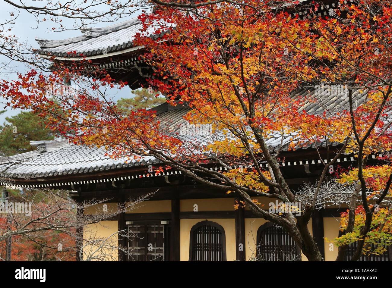 Kyoto, Giappone - Foglie di autunno a Nanzen-ji. Foto Stock