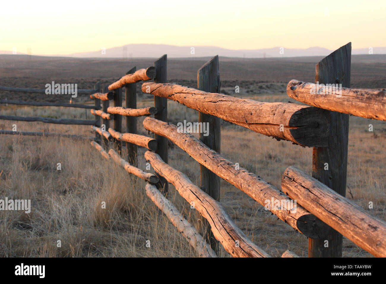 La mattina presto la luce del sole su rustiche in legno recinzione agricola nelle zone rurali del Wyoming, western USA. Foto Stock