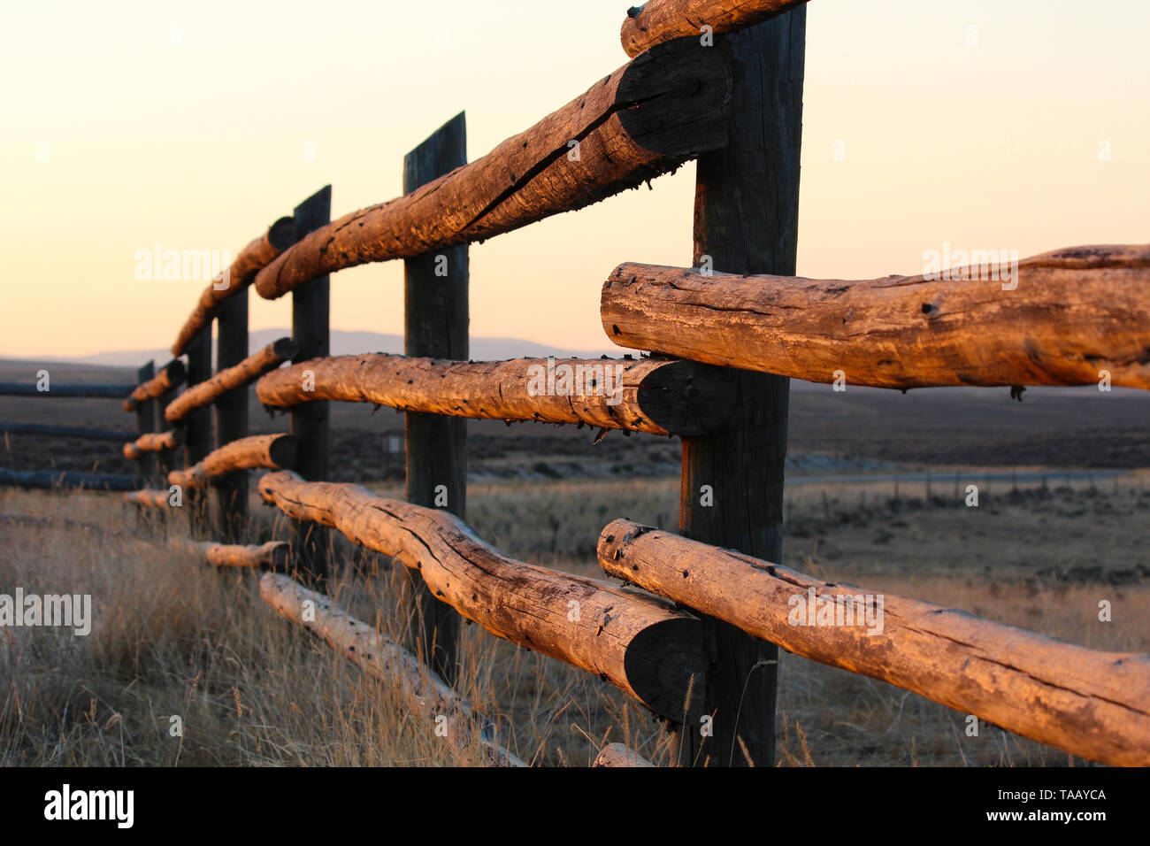La mattina presto la luce del sole su rustiche in legno recinzione agricola nelle zone rurali del Wyoming, western USA. Foto Stock