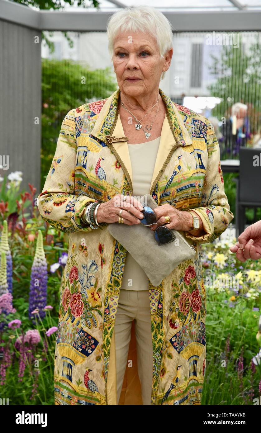 A Dame Judi Dench è stato presentato un albero di alci seghero per lanciare il rielming della campagna britannica a partire da quest'anno. Hillier Nurseries, RHS Chelsea Flower Show, Royal Hospital, Londra. REGNO UNITO Foto Stock