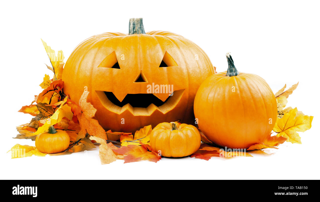 Zucche di Halloween con foglie Foto Stock