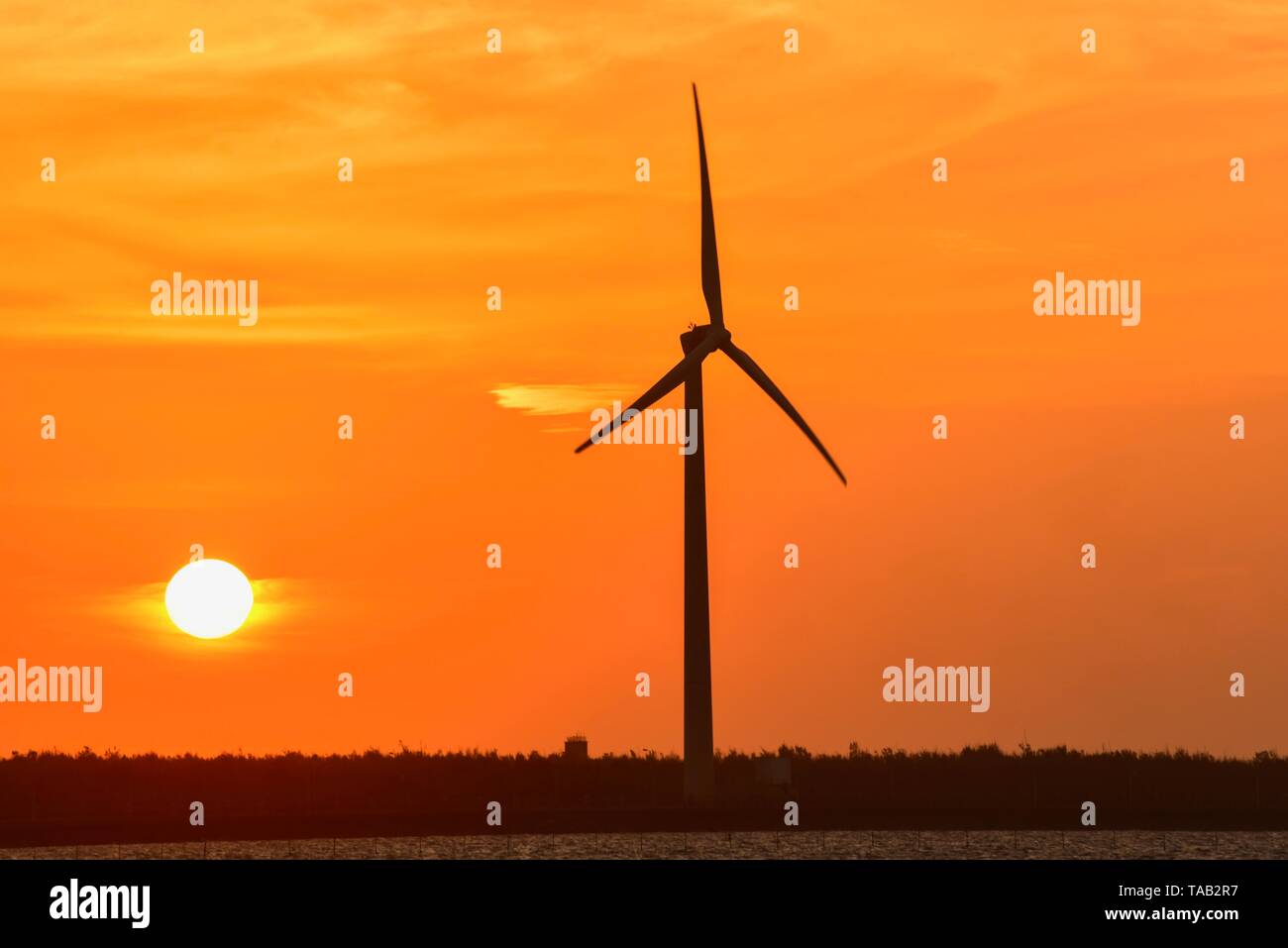 Le turbine eoliche in zone umide Gaomei di Taiwan durante il tramonto Foto Stock