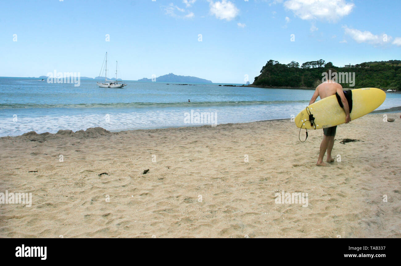 Nuova Zelanda uomo con tavola da surf sulla spiaggia a nord di Auckland Foto Stock