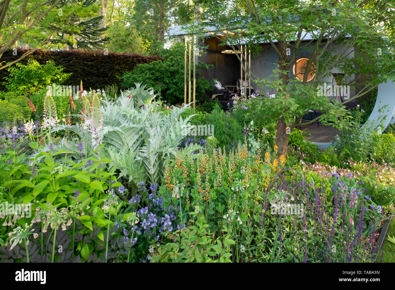 Perennials misti in Morgan Stanley giardino disegnato da Chris Beardshaw e vincitore di una medaglia d oro nella mostra giardino categoria al Chelsea Flower Foto Stock