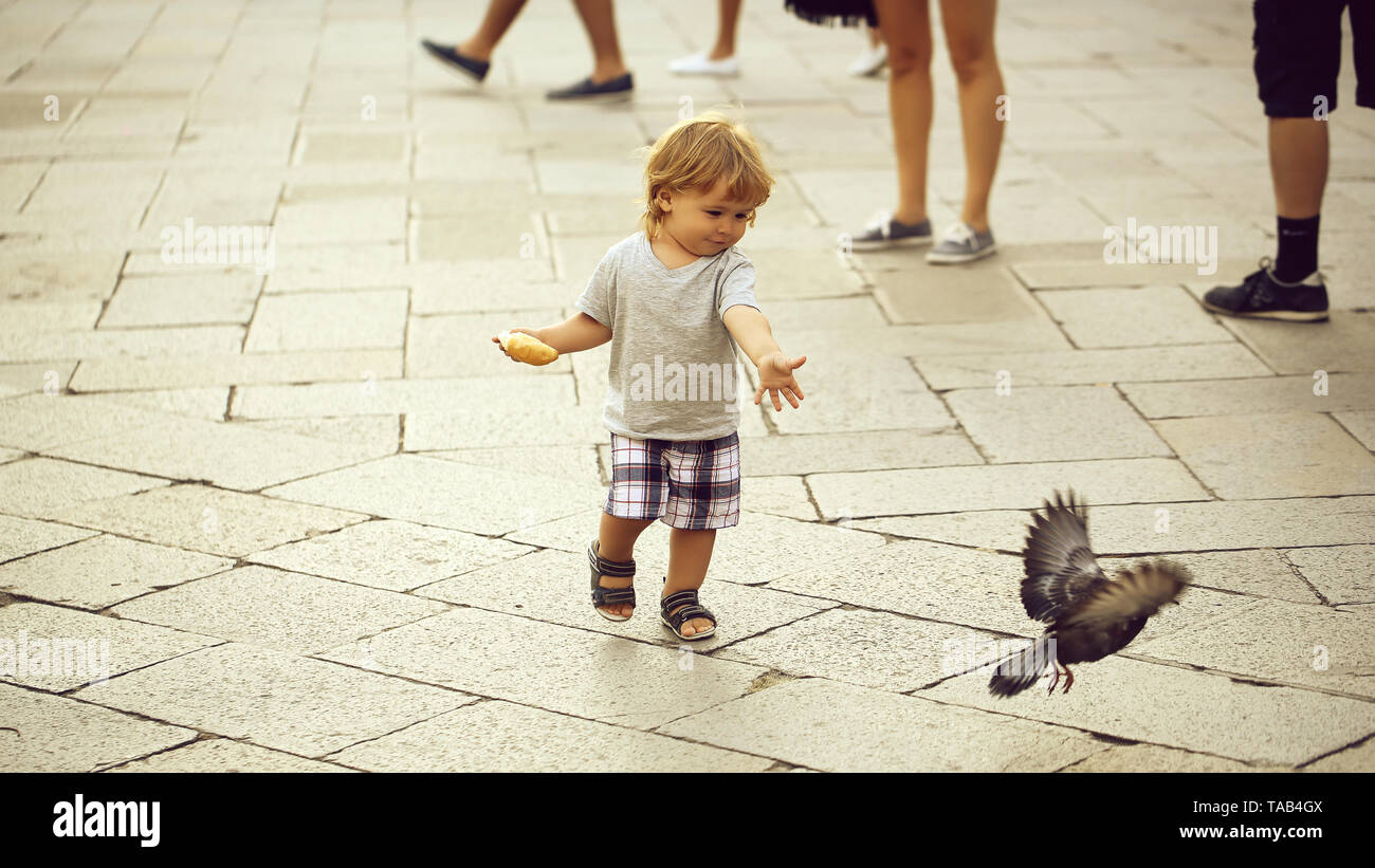 Baby boy piccione di alimentazione Foto Stock