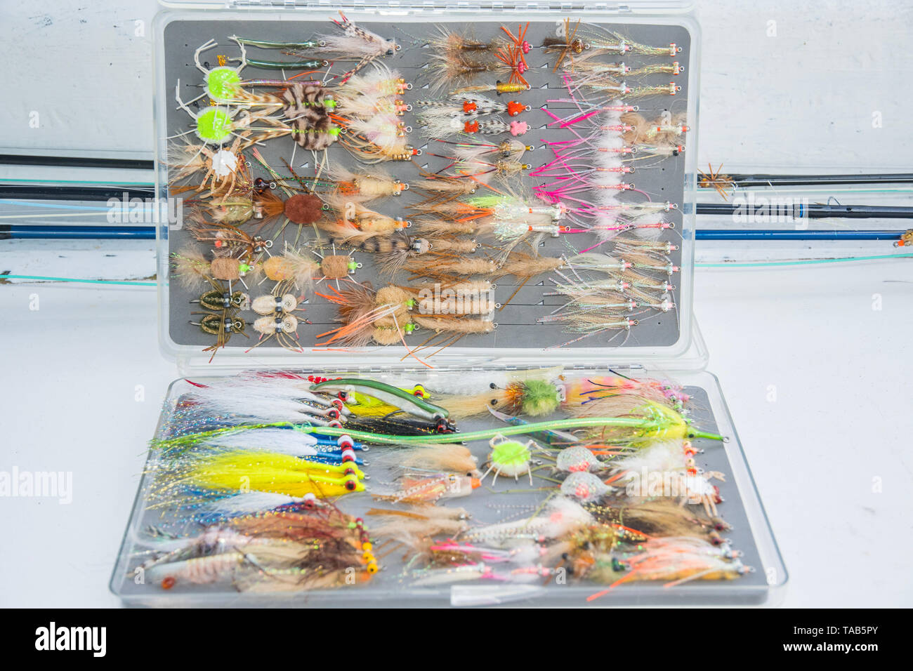 Saltwater fly fishing diverse di Pesca a Mosca Report di Pesca i bug nella casella Foto Stock