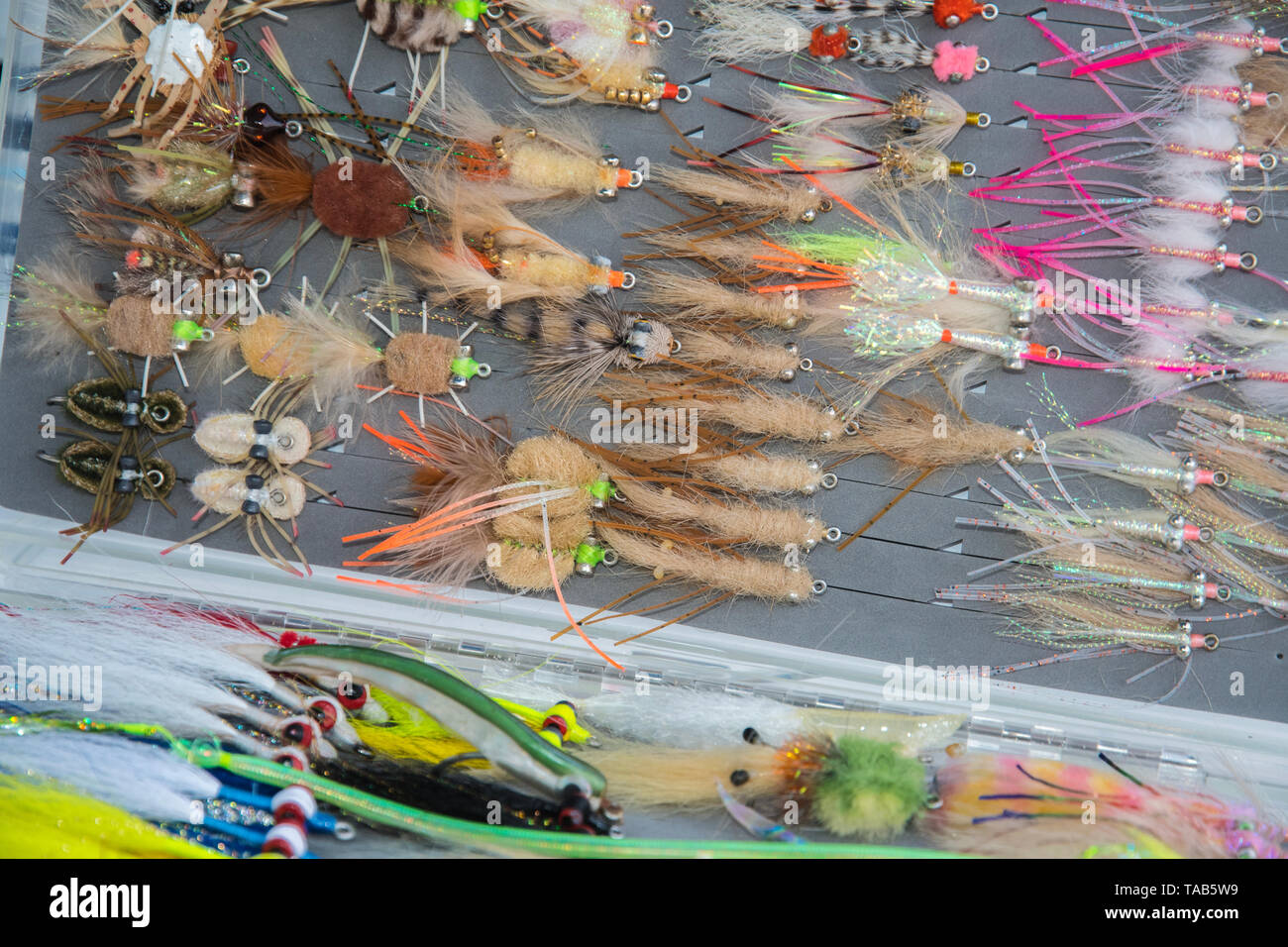 Saltwater fly fishing diverse di Pesca a Mosca Report di Pesca i bug nella casella Foto Stock