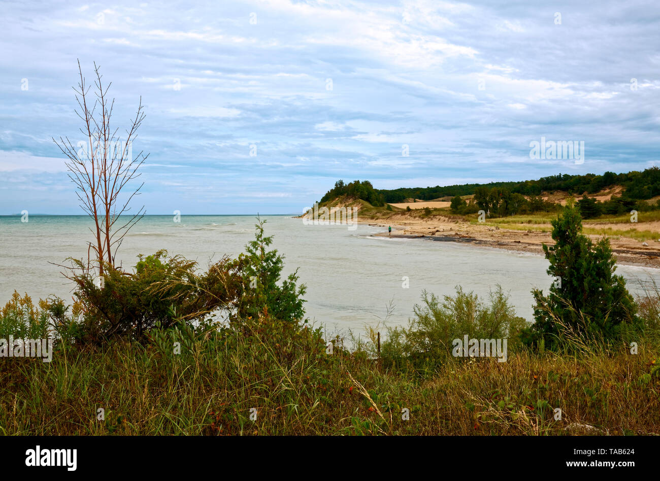 Il lago Michigan litorale; dune di sabbia, punto Betsie; Francoforte, MI; estate; orizzontale Foto Stock