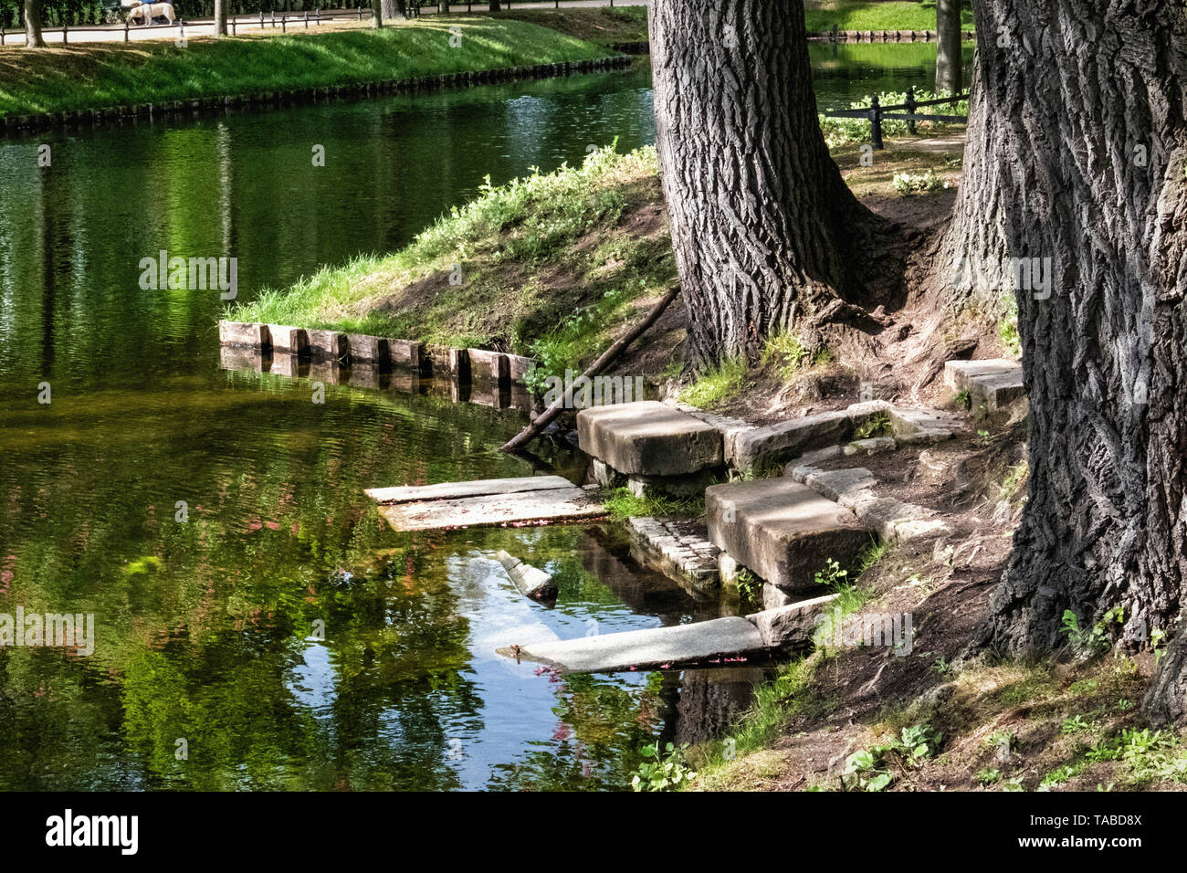 Piccolo molo di pietra con gradini in stagno in pubblico Tiergarten Park, Berlino, Germania Foto Stock