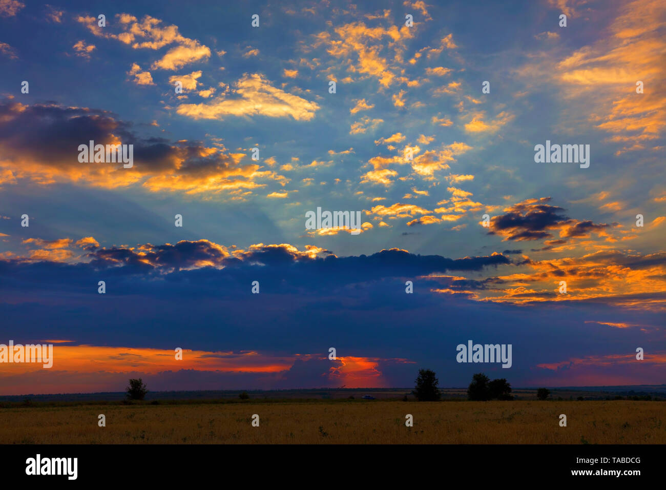 Silhouette di alberi solitari su un campo rurale sullo sfondo di un ardente tramonto rossastro, i raggi che sono sparsi dalle nuvole Foto Stock