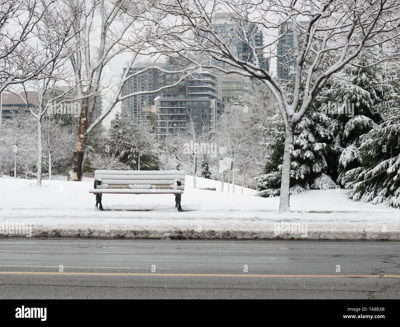 Urban winter wonderland in North York, Ontario - l'ultima neve dell'inverno in 2019 Foto Stock