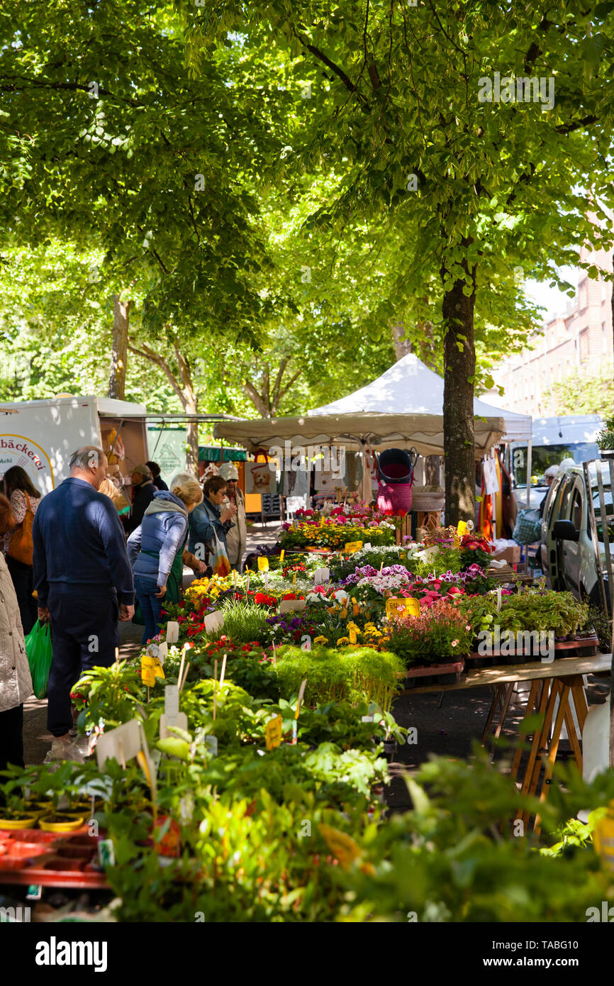 Mercato Agricolo sulla strada Riehler Guertel nel quartiere Riehl, Colonia, Germania. Wochenmarkt am Riehler Guertel im Stadtteil Riehl, Koeln, DT Foto Stock