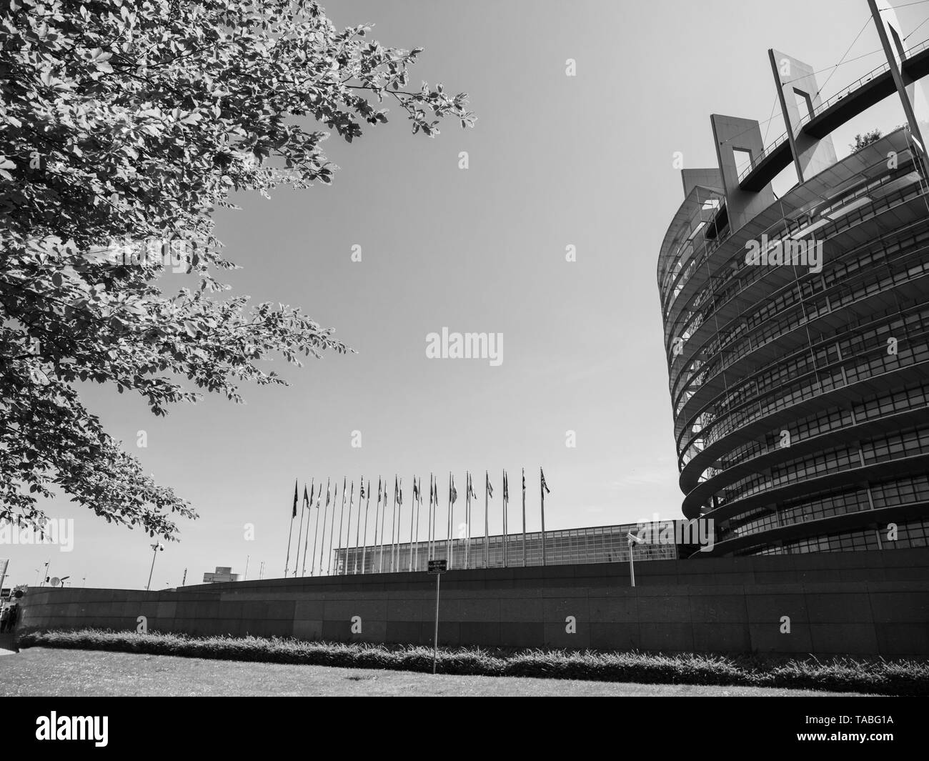 Ampia facciata del Parlamento europeo vista attraverso gli alberi della sede di Strasburgo un giorno prima del 2019 sulle elezioni per il Parlamento europeo - cielo chiaro immagine in bianco e nero Foto Stock