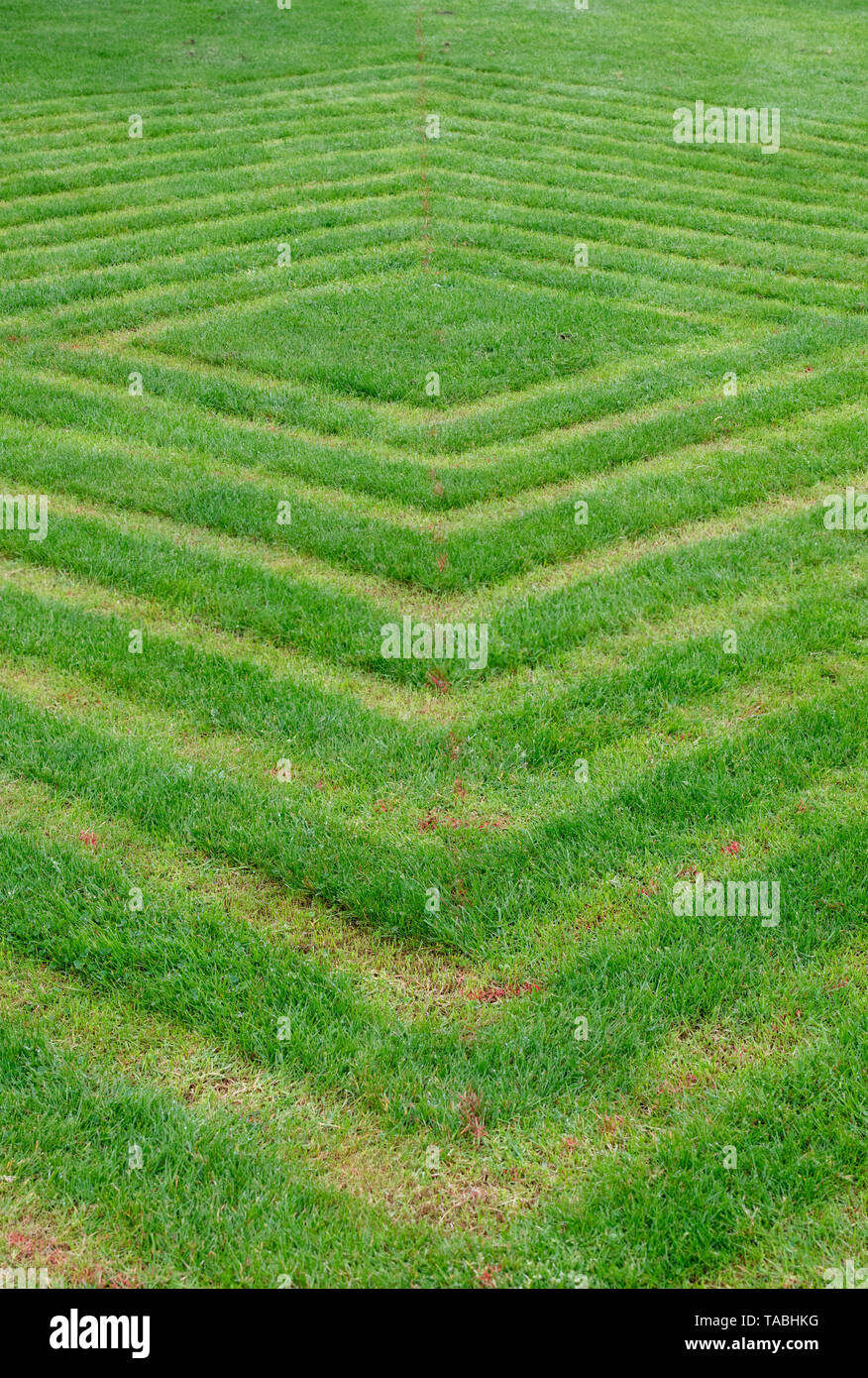 Disegno a forma quadrata in un prato a RHS Wisley Gardens, Surrey, Inghilterra Foto Stock